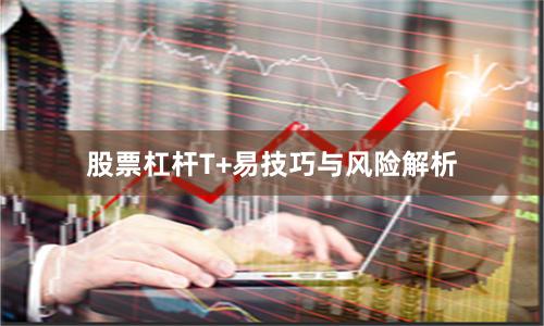 股票杠杆T+易技巧与风险解析