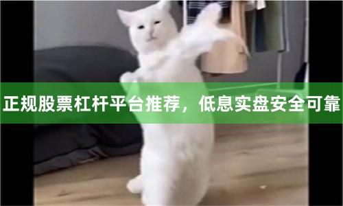 正规股票杠杆平台推荐，低息实盘安全可靠